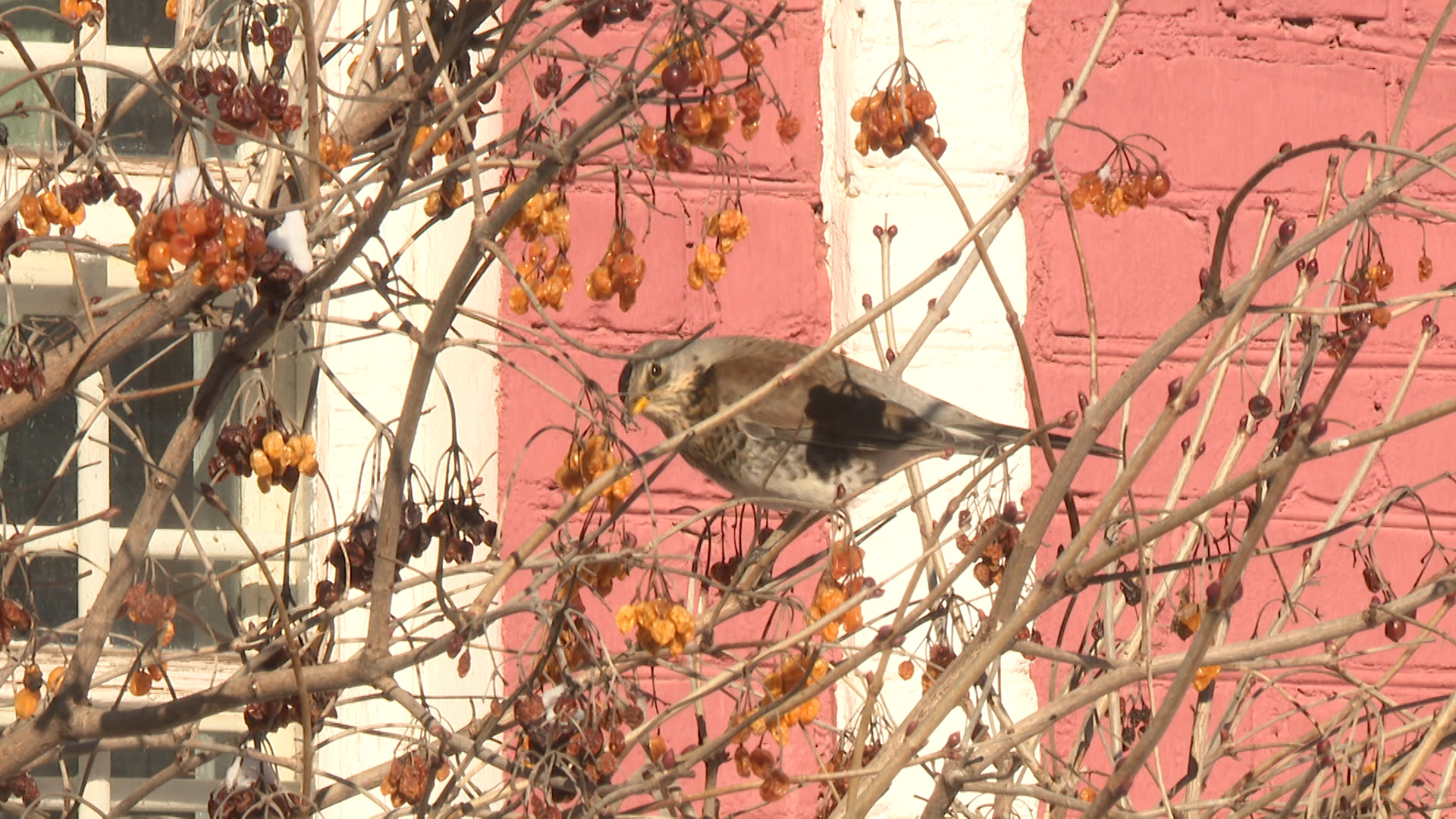 Волгоградские синоптики обещают до +4º 1 марта