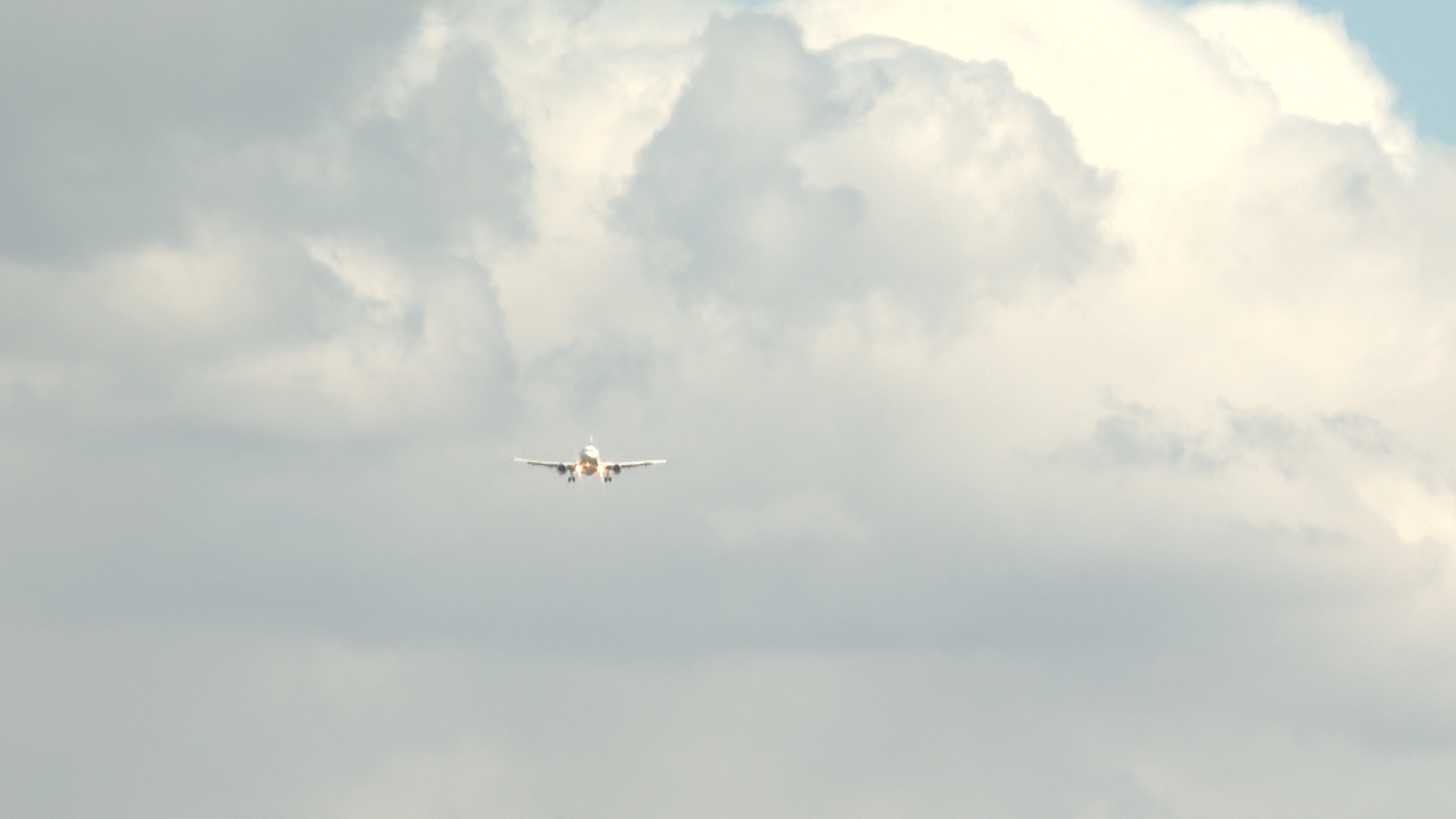 Рейс между Волгоградом и Дубаем 28 февраля отменен