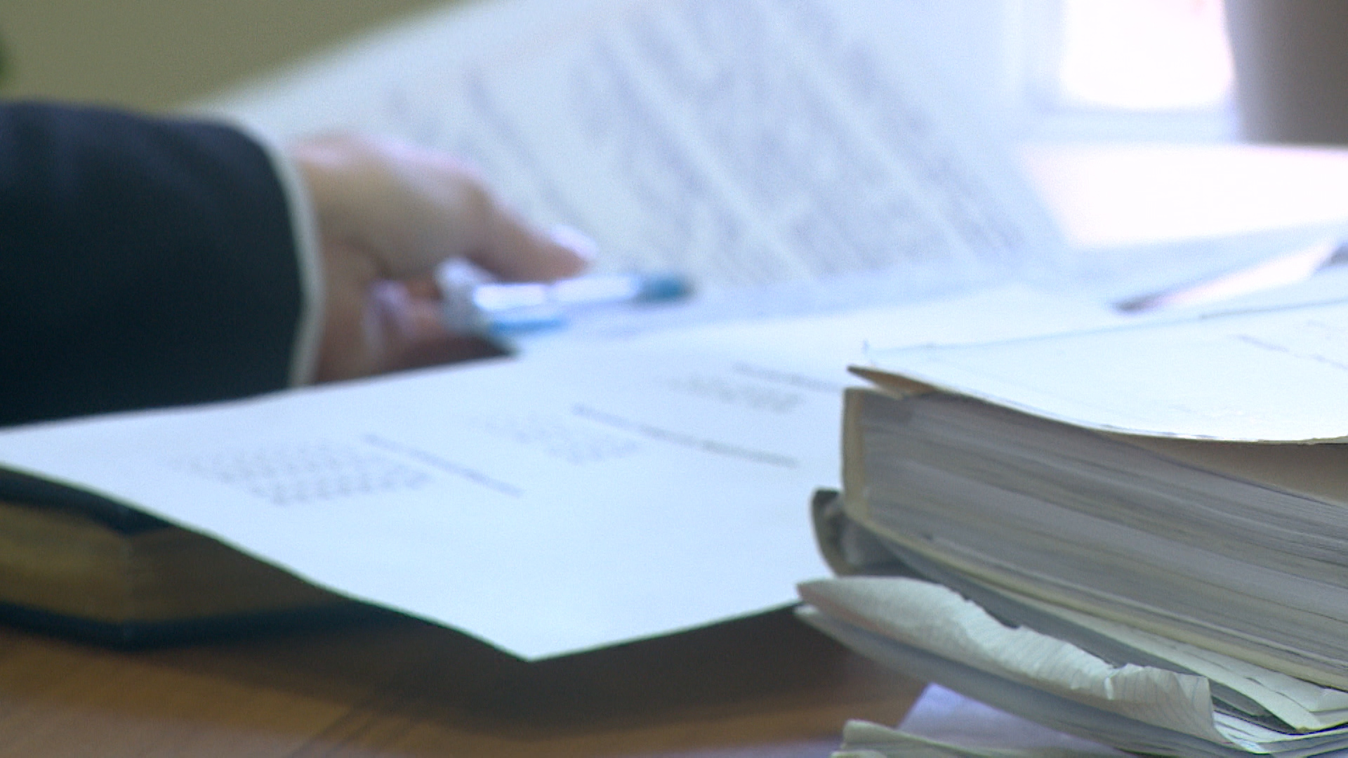 Бастрыкину доложат о нападении собак на 9-летнюю волгоградку вблизи школы