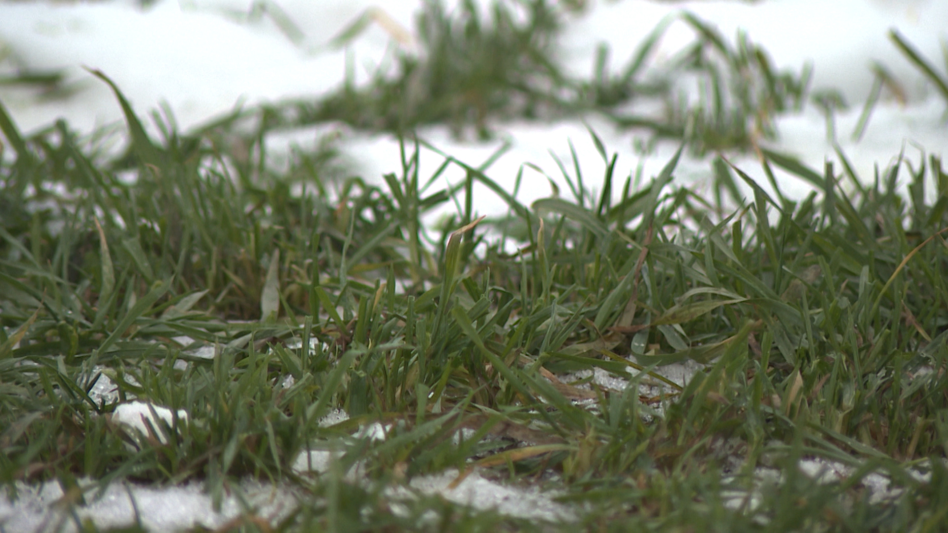 Более 1,2 млн гектаров с озимыми удобрят аграрии Волгоградской области