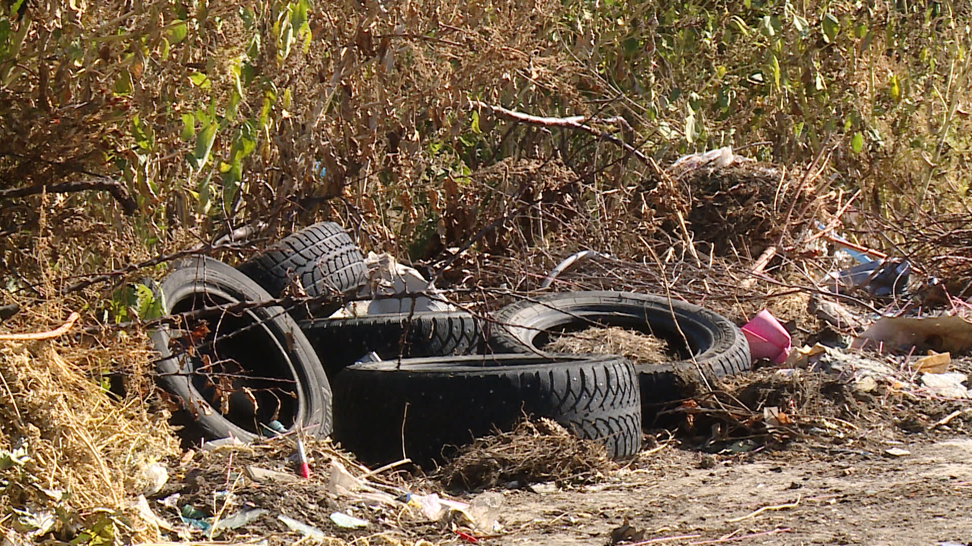 Сельские поля под Волгоградом загрязнены строительными отходами