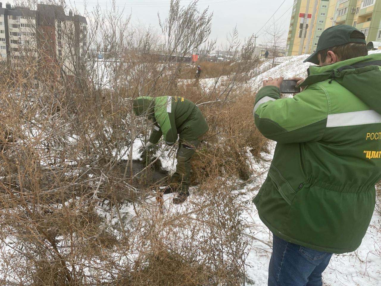 Коммерсанта обязали возместить ущерб за излив нечистот на почву у ЖК в Волгограде