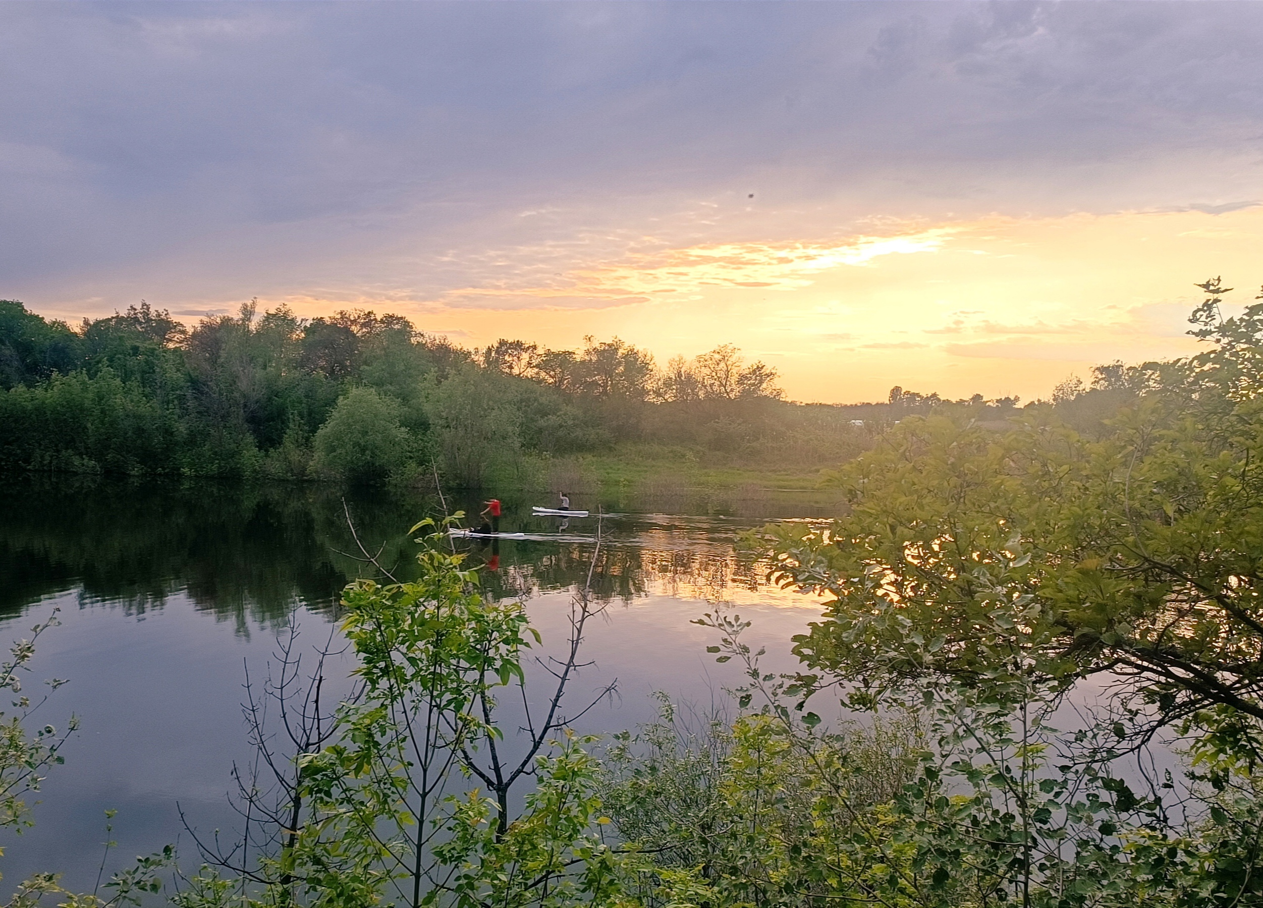 На аукцион выставили три лесных участка для развития туризма под Волгоградом
