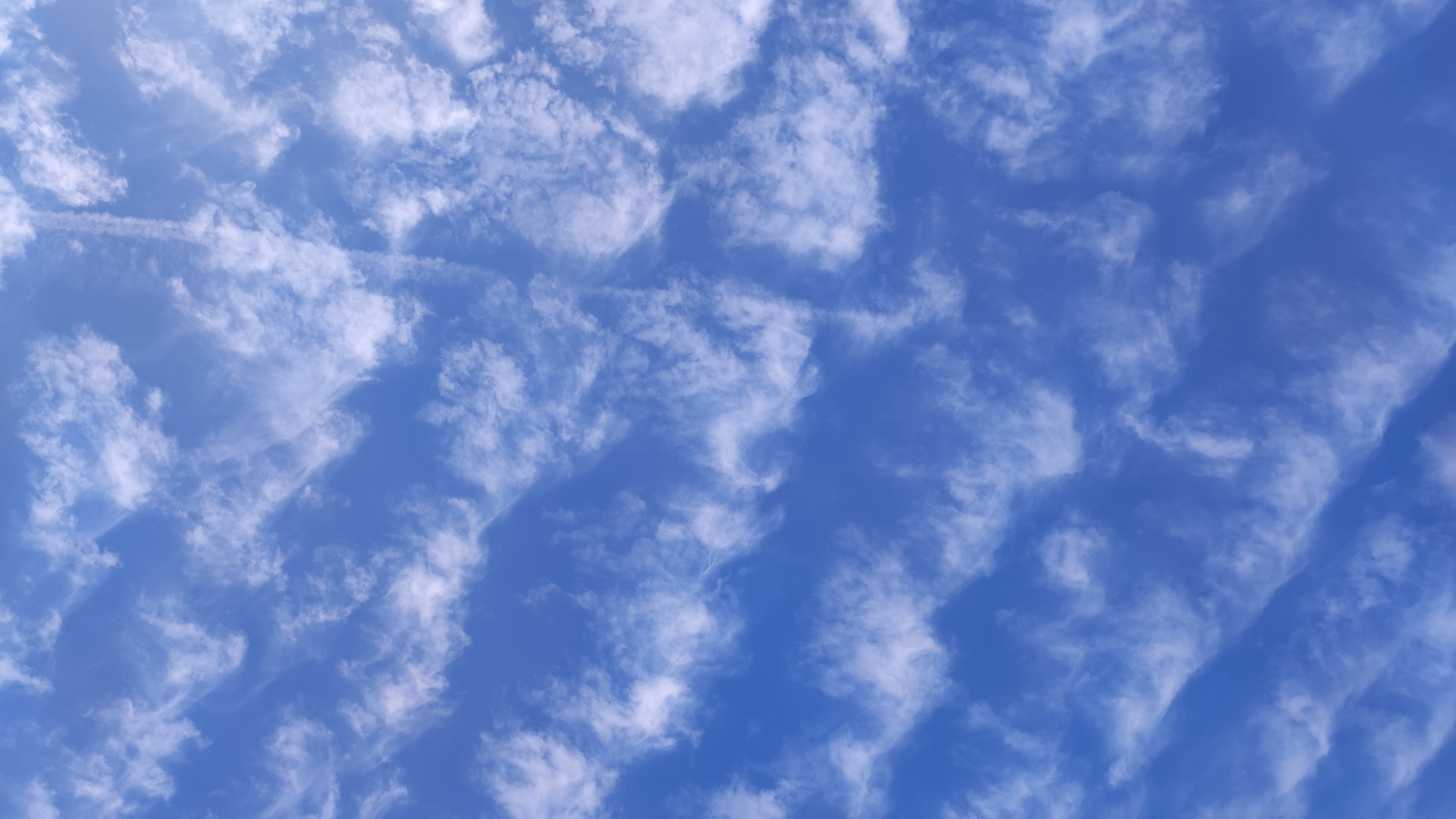 Атаку БПЛА отразили в Волгоградской области