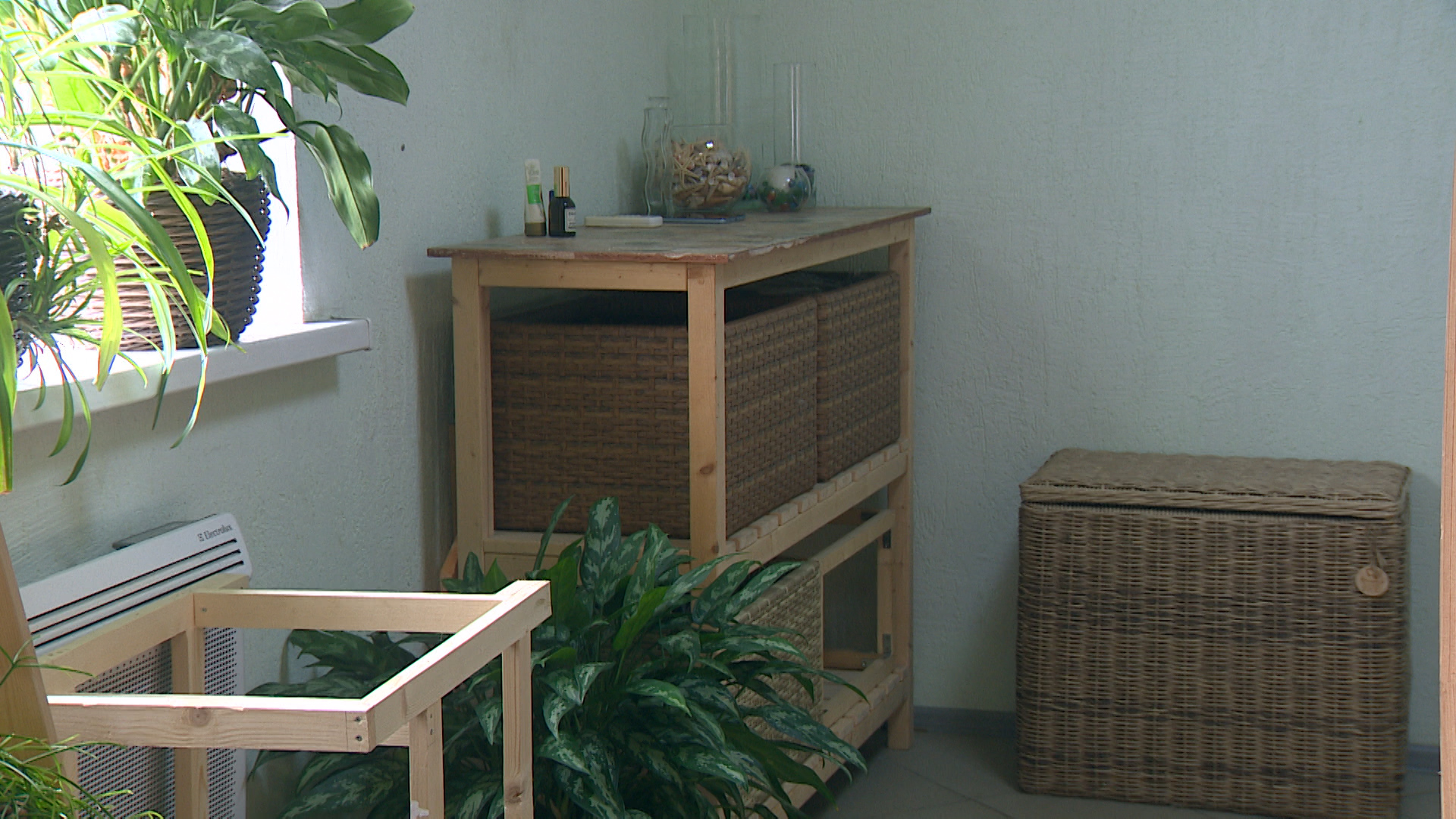 Стильные кашпо и мебель: волгоградка освоила старорусское искусство плетения из ротанга