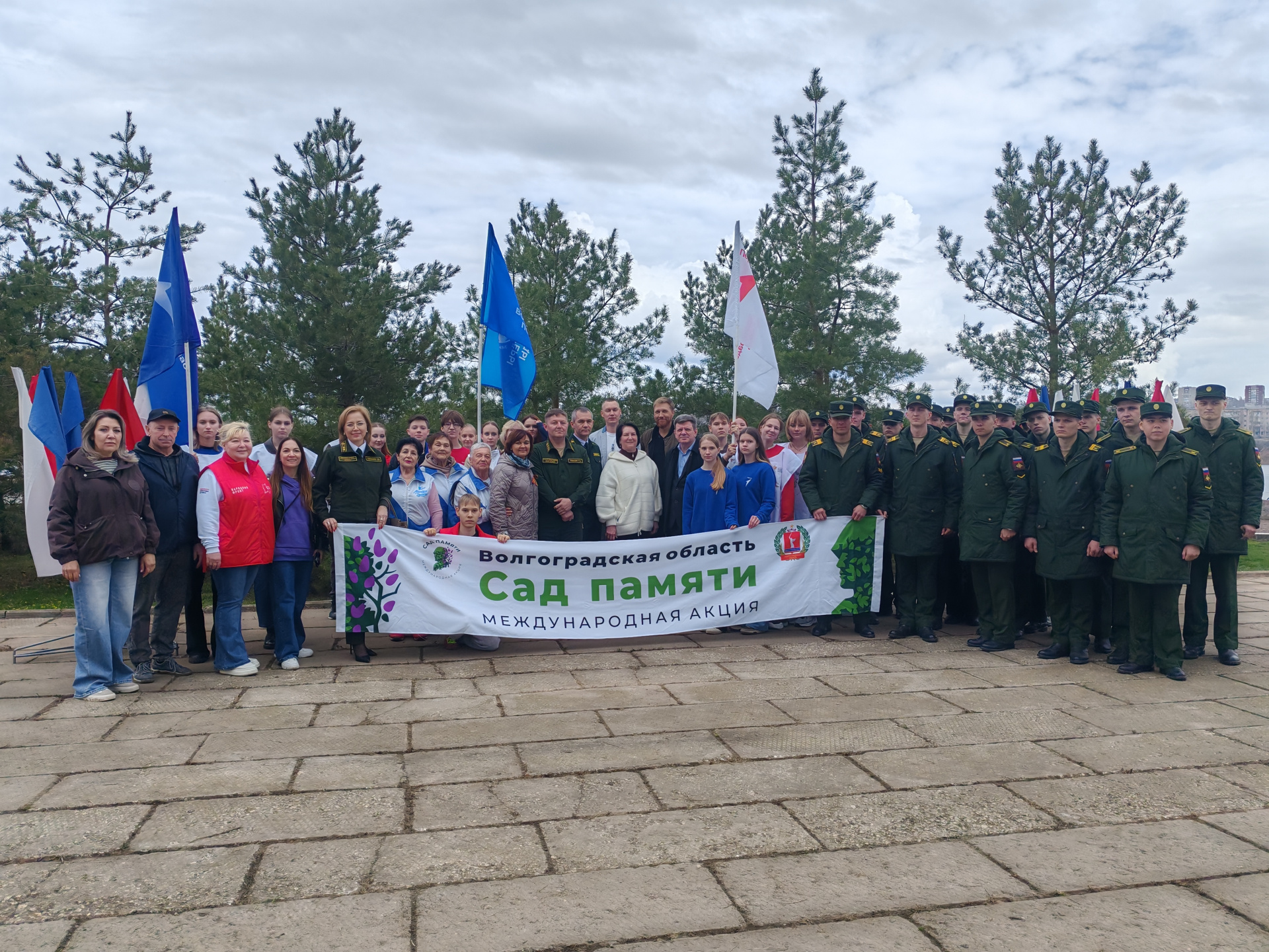 Клон сталинградского тополя Победы высадили в Камышине