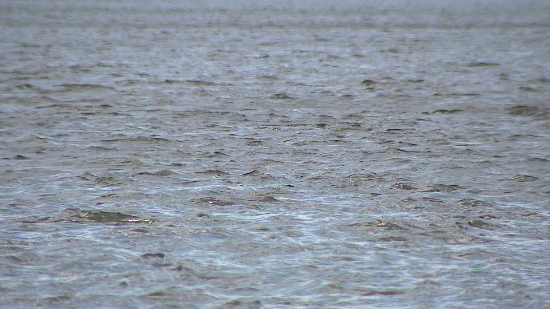 Тело одного из пропавших рыбаков нашли в Волгоградской области