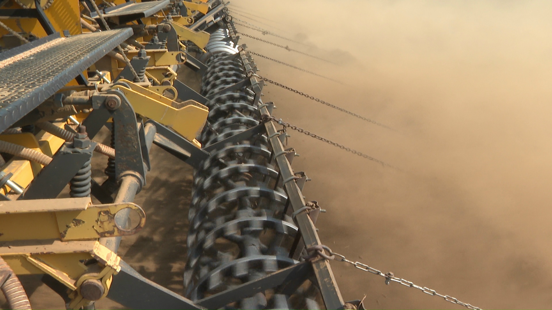 В Волгоградской области более трети районов приступили к весеннему севу