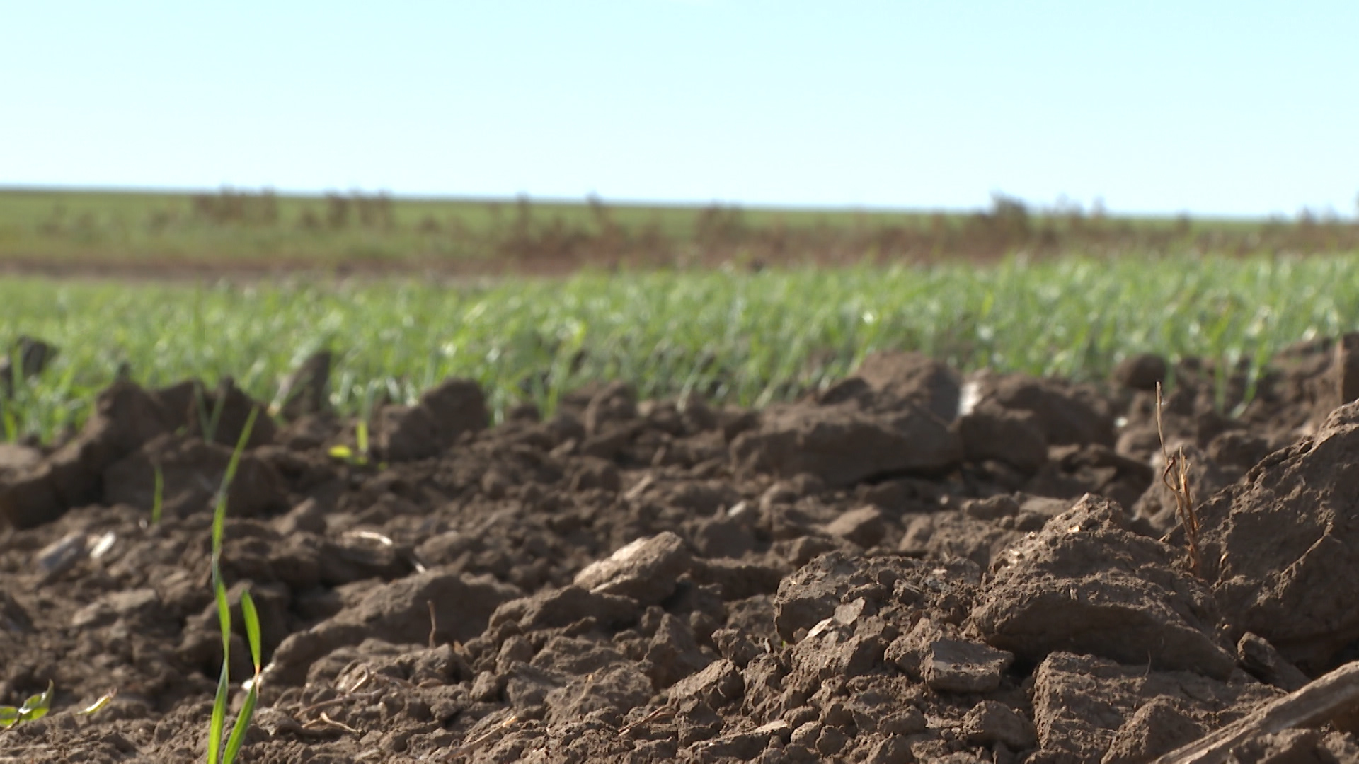 Разлив сточных вод устранили в Волжском по требованию природоохранной прокуратуры