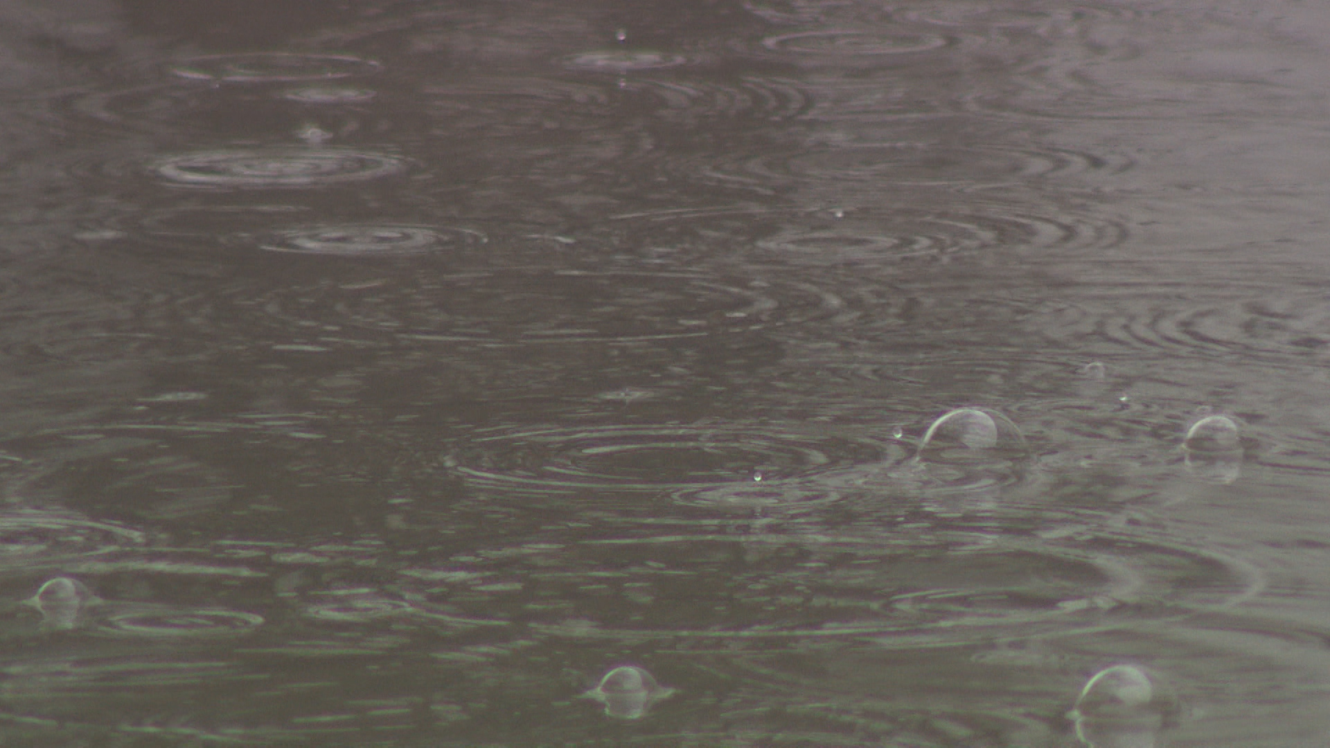 МЧС предупреждает жителей Волгоградской области о ливнях с грозой