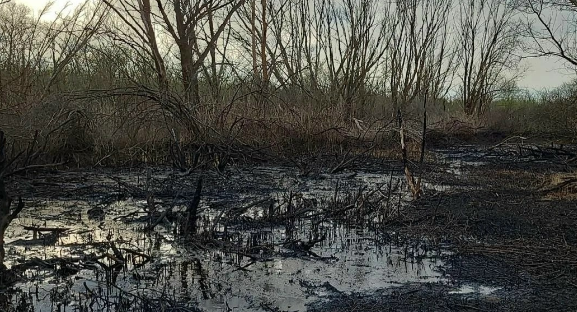 Экоущерб более чем на 167 млн рублей нанесла авария на нефтепроводе в Волгоградской области