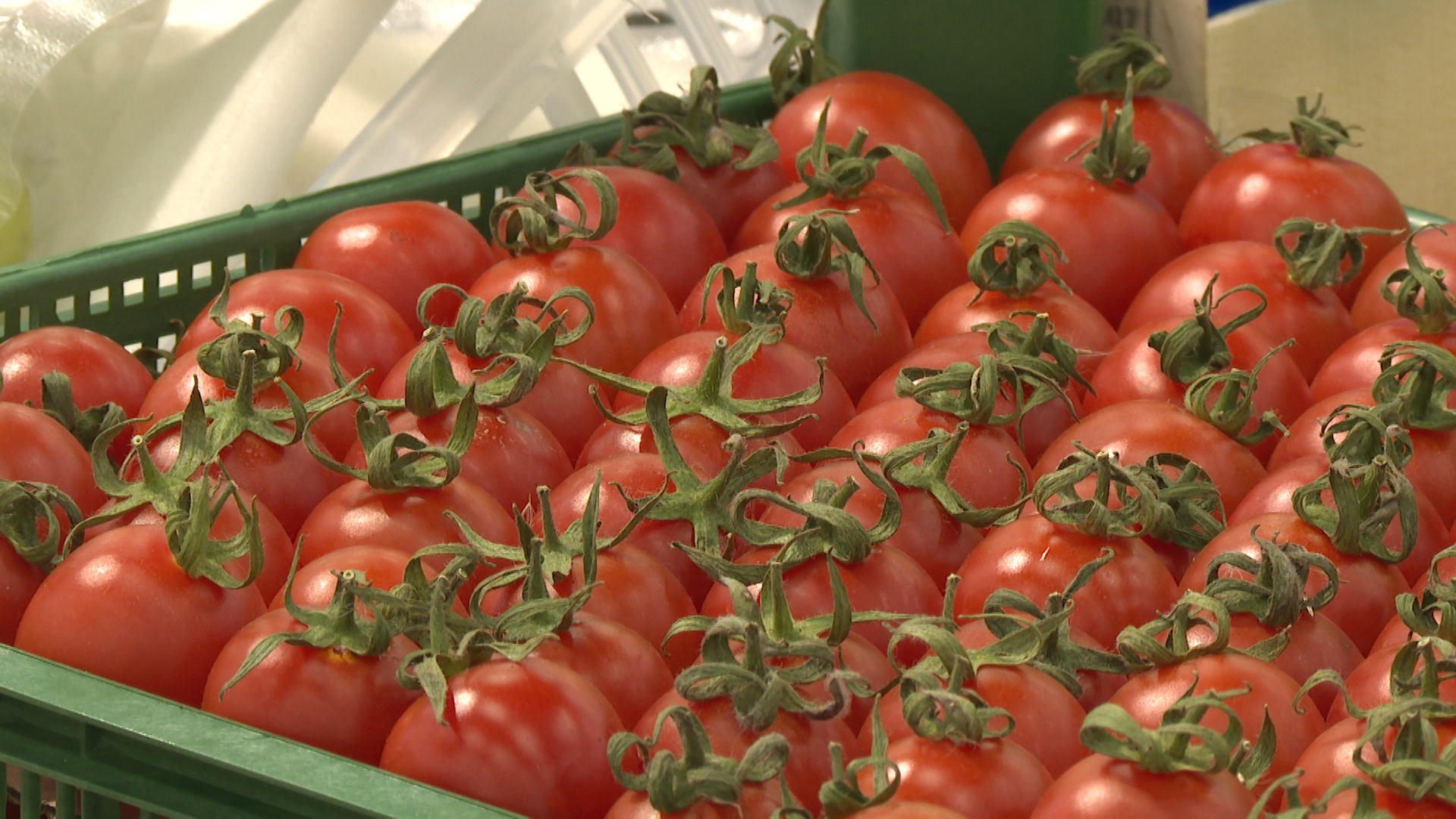 Цены на помидоры подскочили в Волгоградской области