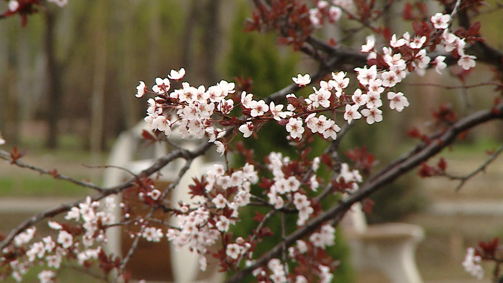 До +20 градусов обещают синоптики в выходные в Волгоградской области