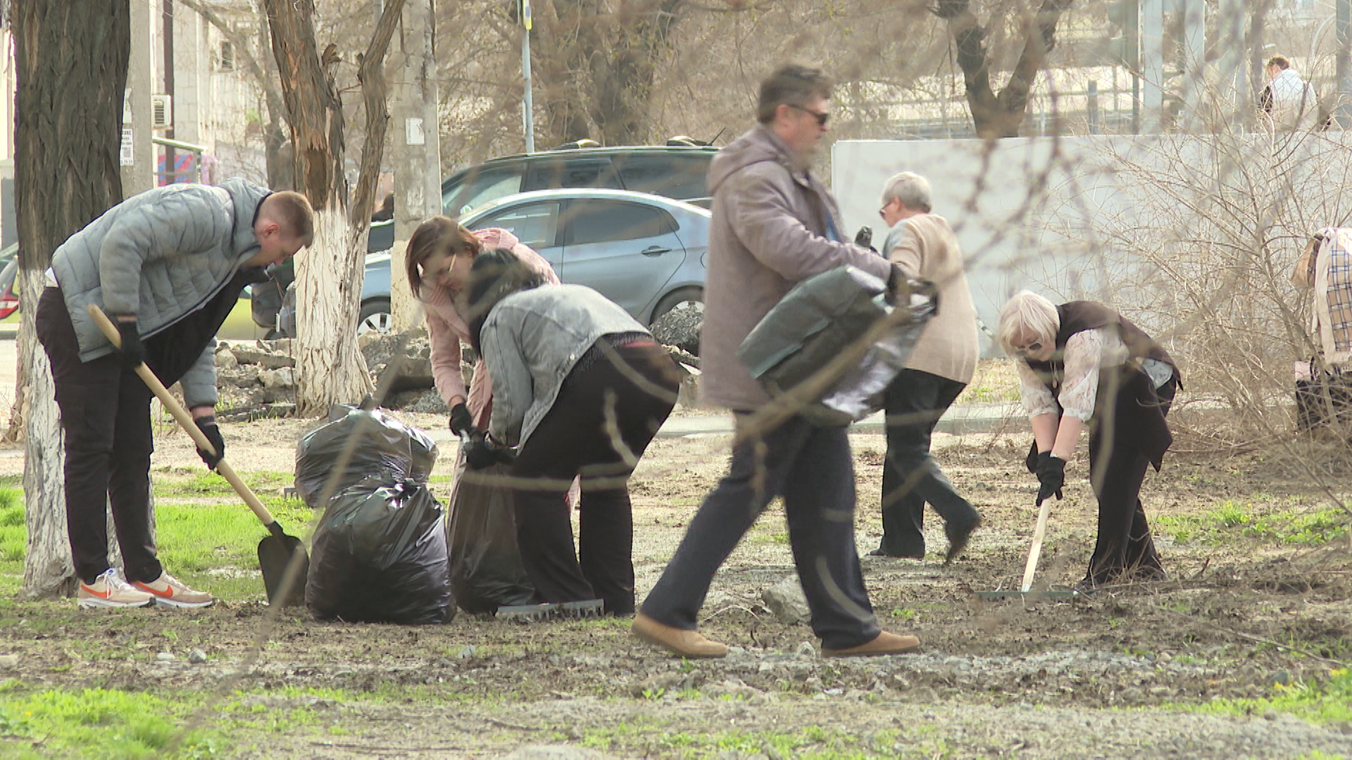 Волгоградская область станет частью Всероссийского субботника