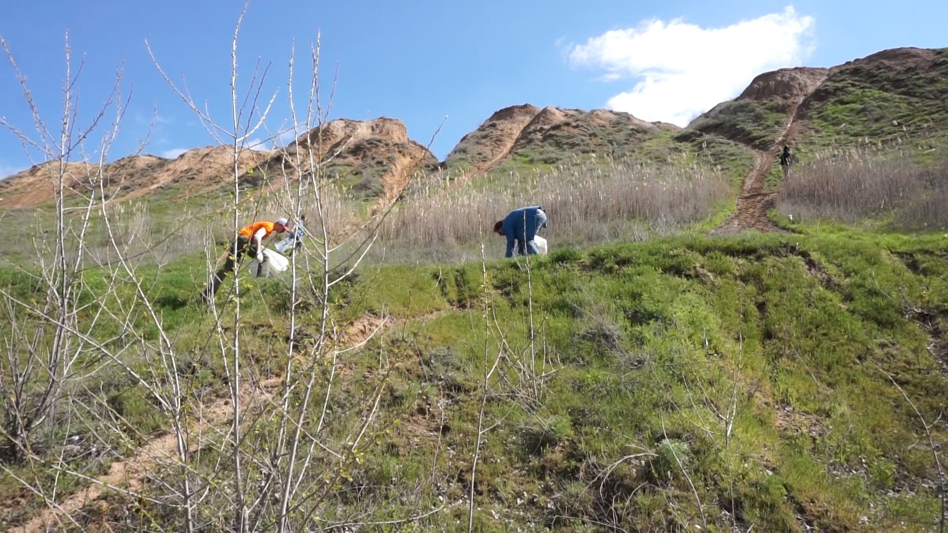 «Вода России» акция по очистке берегов рек прошла в Волгоградской области