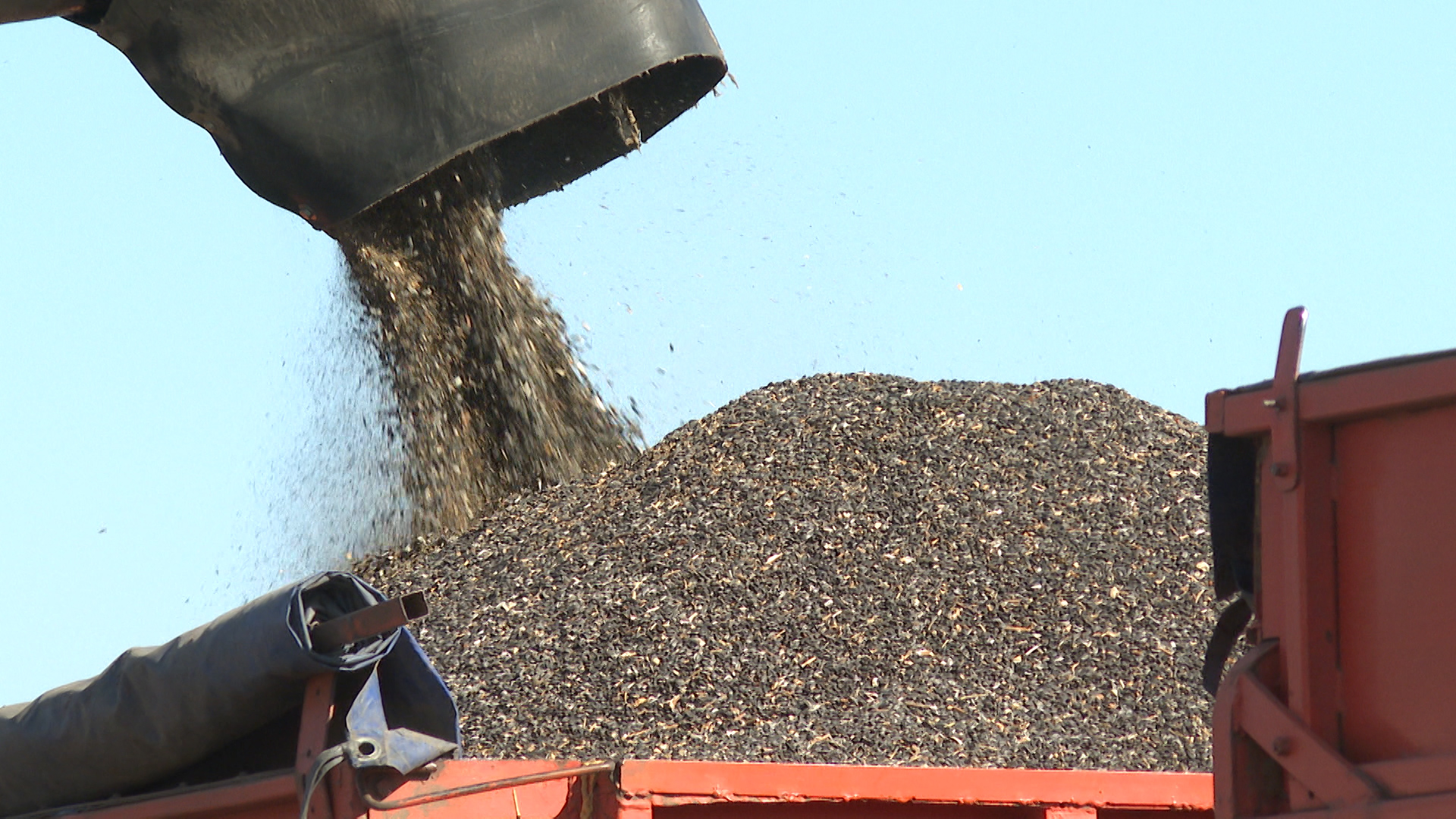 В Беларусь из Волгоградской области отправили 8,7 тысячи тонн шрота
