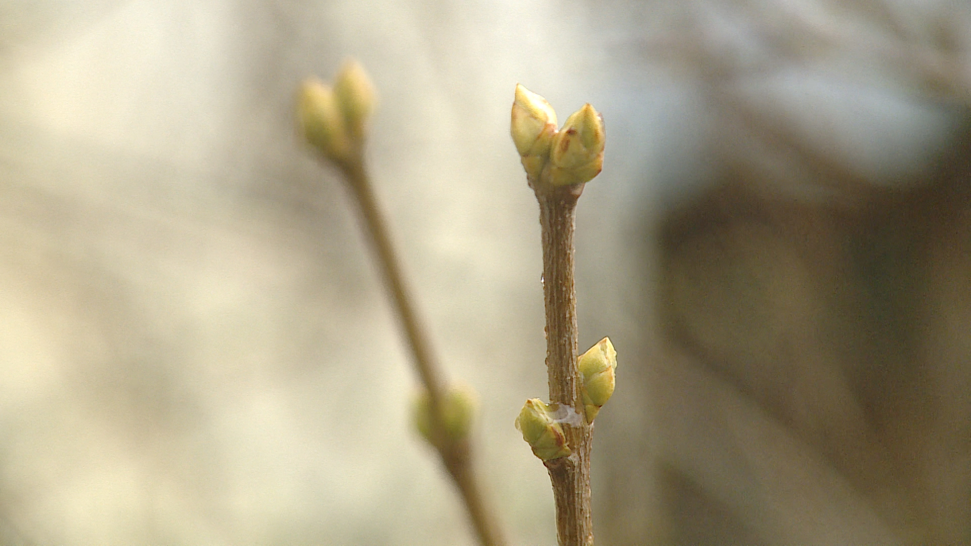 О заморозках до -3º предупредили жителей Волгоградской области