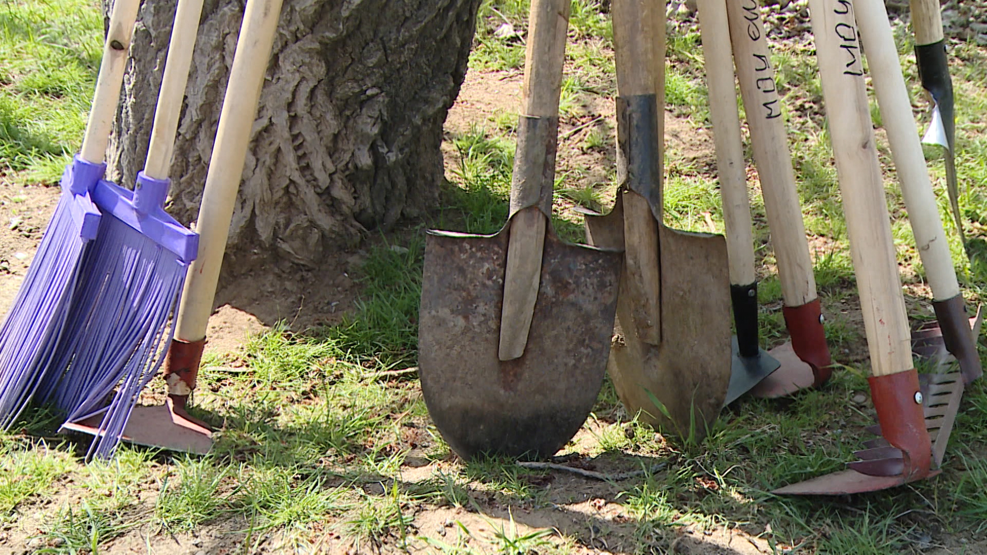 Волгоградцы выйдут на Всероссийский субботник 25 апреля