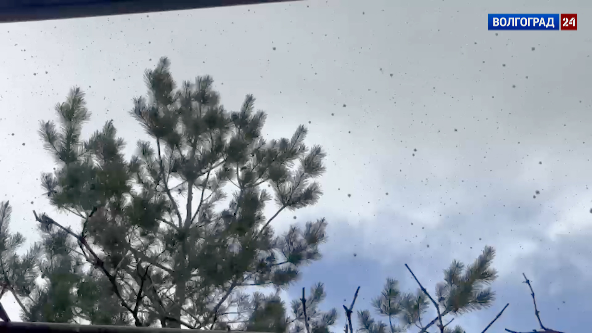 Сильные ливни с грозой и градом ожидаются в Волгоградской области