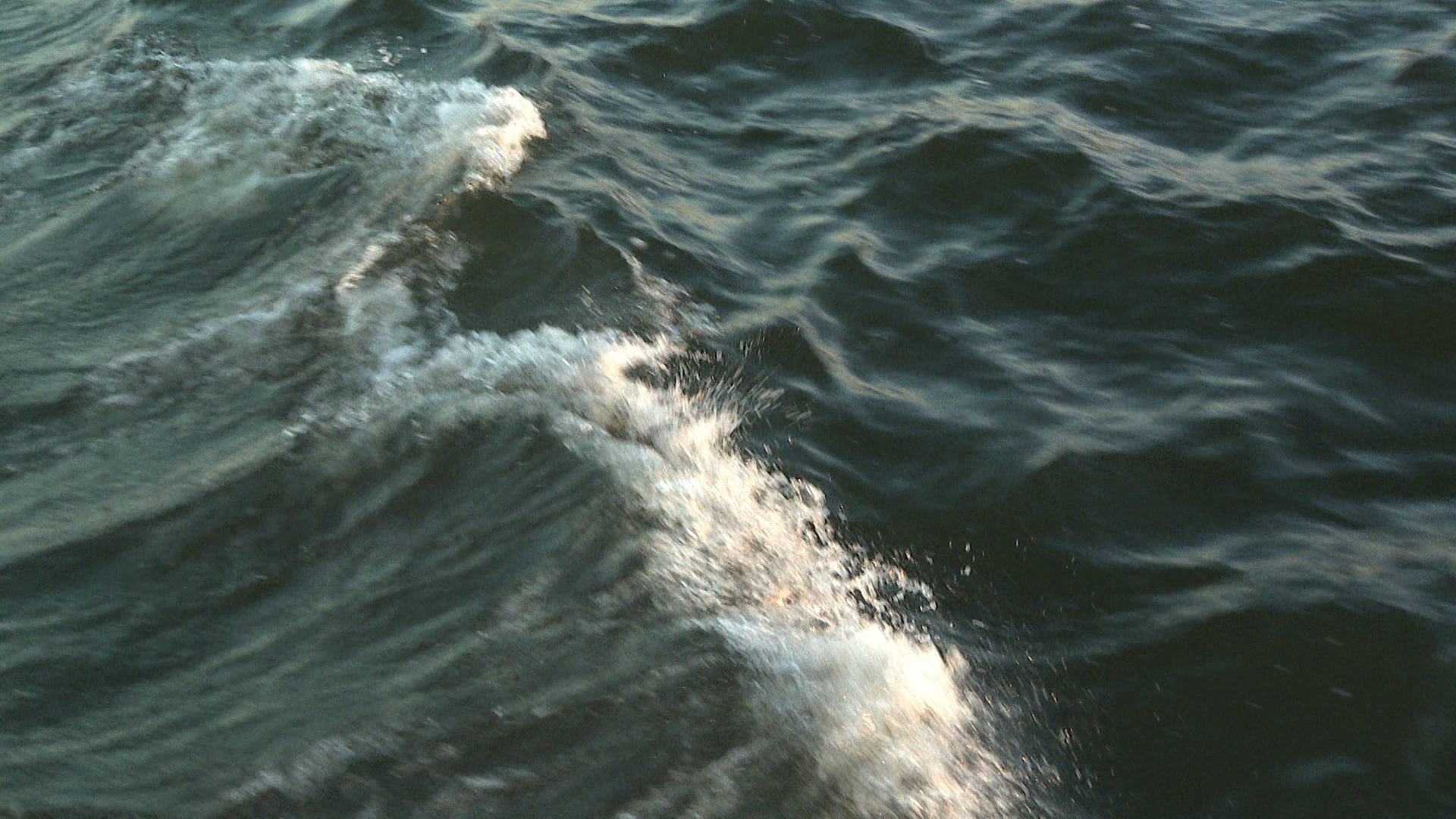 Тело одного из пропавших рыбаков нашли в Волгоградской области