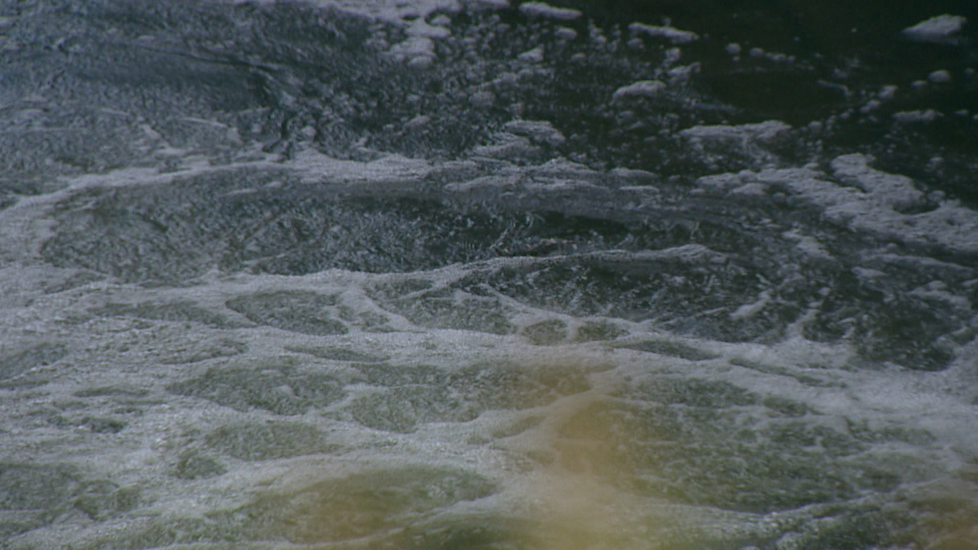 Южная транспортная прокуратура проведет проверку по двум происшествиям на воде 24 апреля