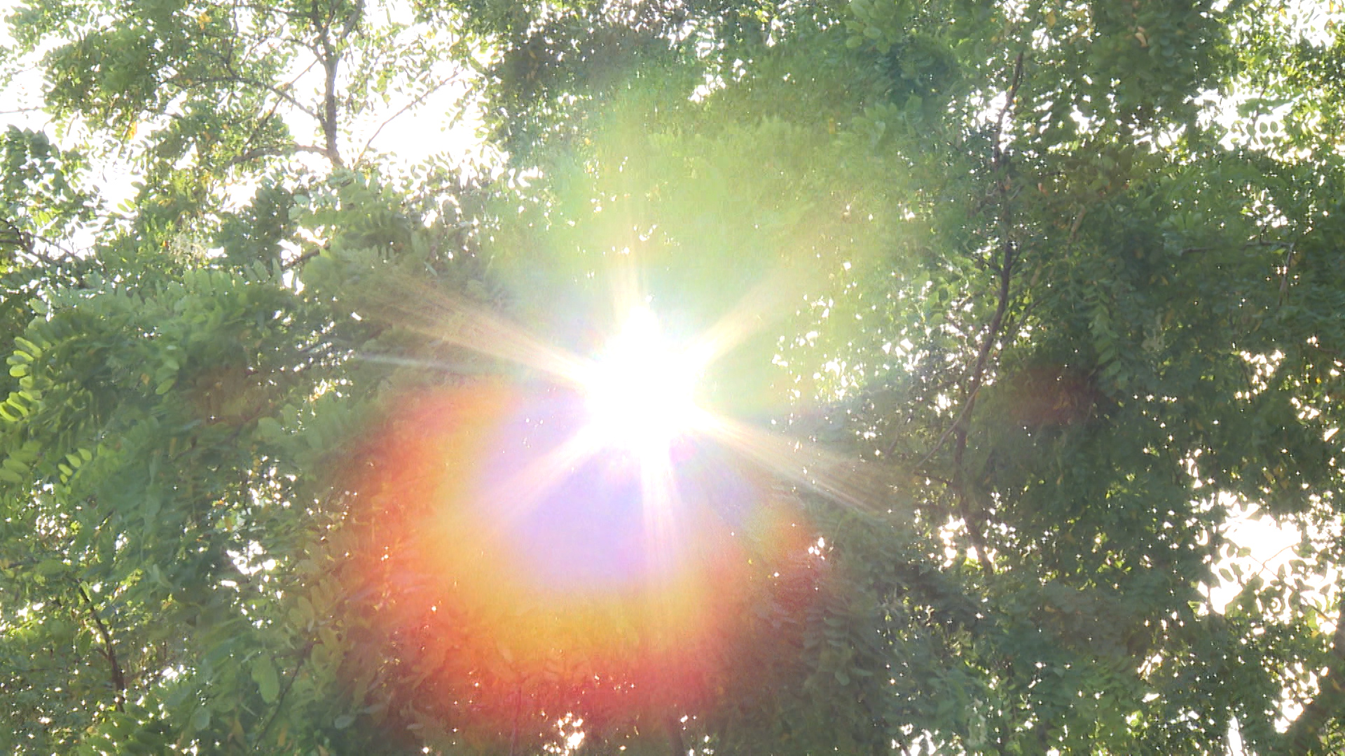 Световой день в Волгоградской области увеличится в мае почти на два часа