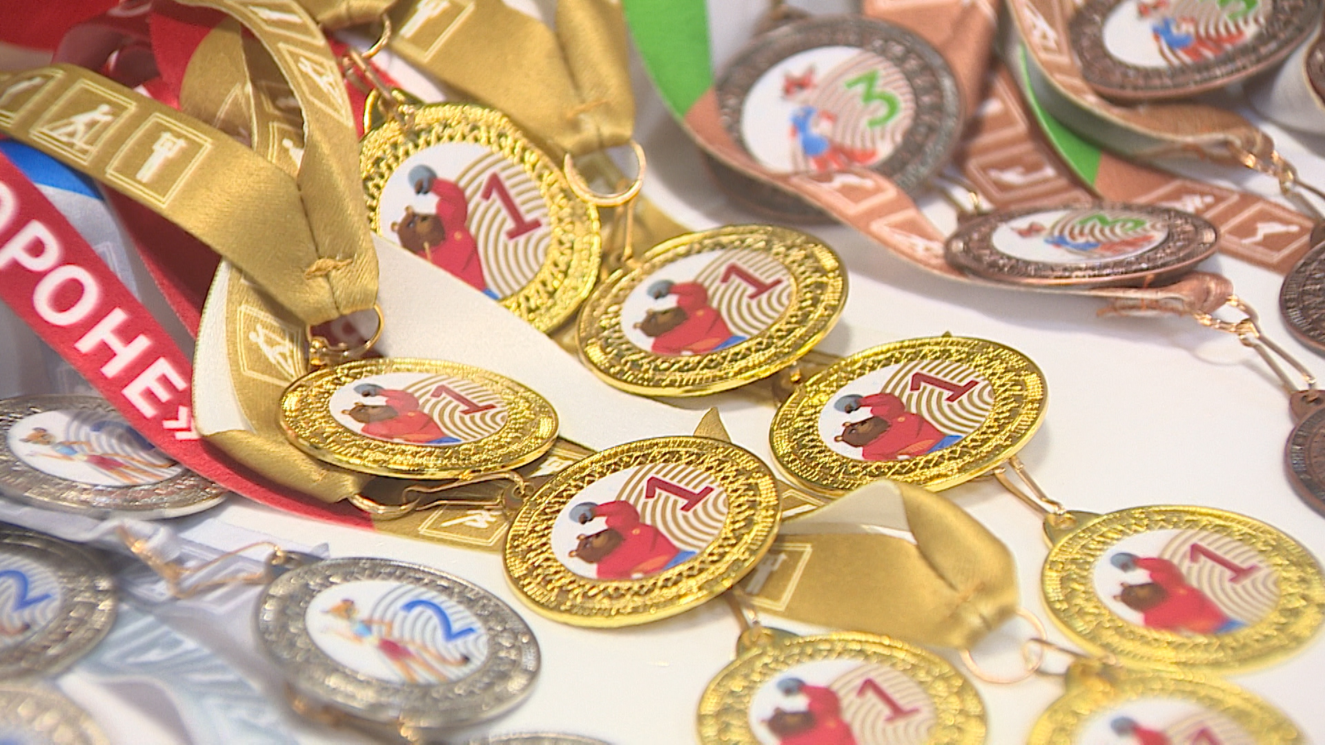 Более 100 волгоградских школьников приняли участие в фестивале ГТО