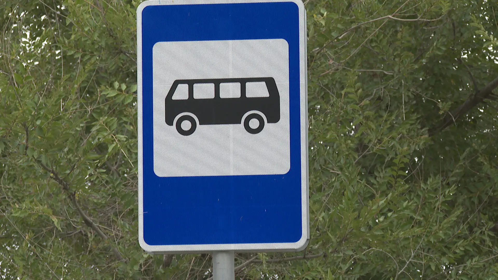 В Волгограде скорректировали схему движения автобуса №31к