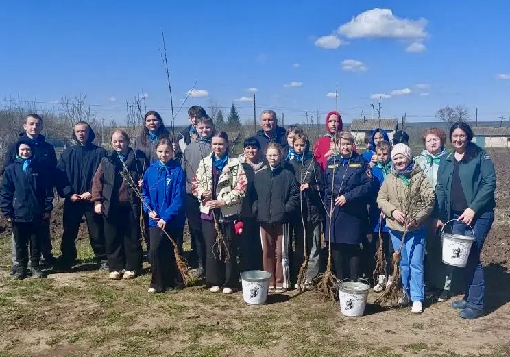 Акция «Сад Памяти» прошла на двух площадках Жирновского лесничества