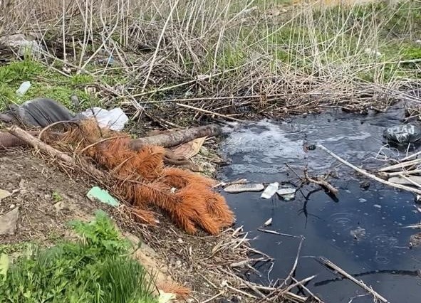 Экоинспекторы застали ассенизаторов за сбросом нечистот на почву под Волгоградом