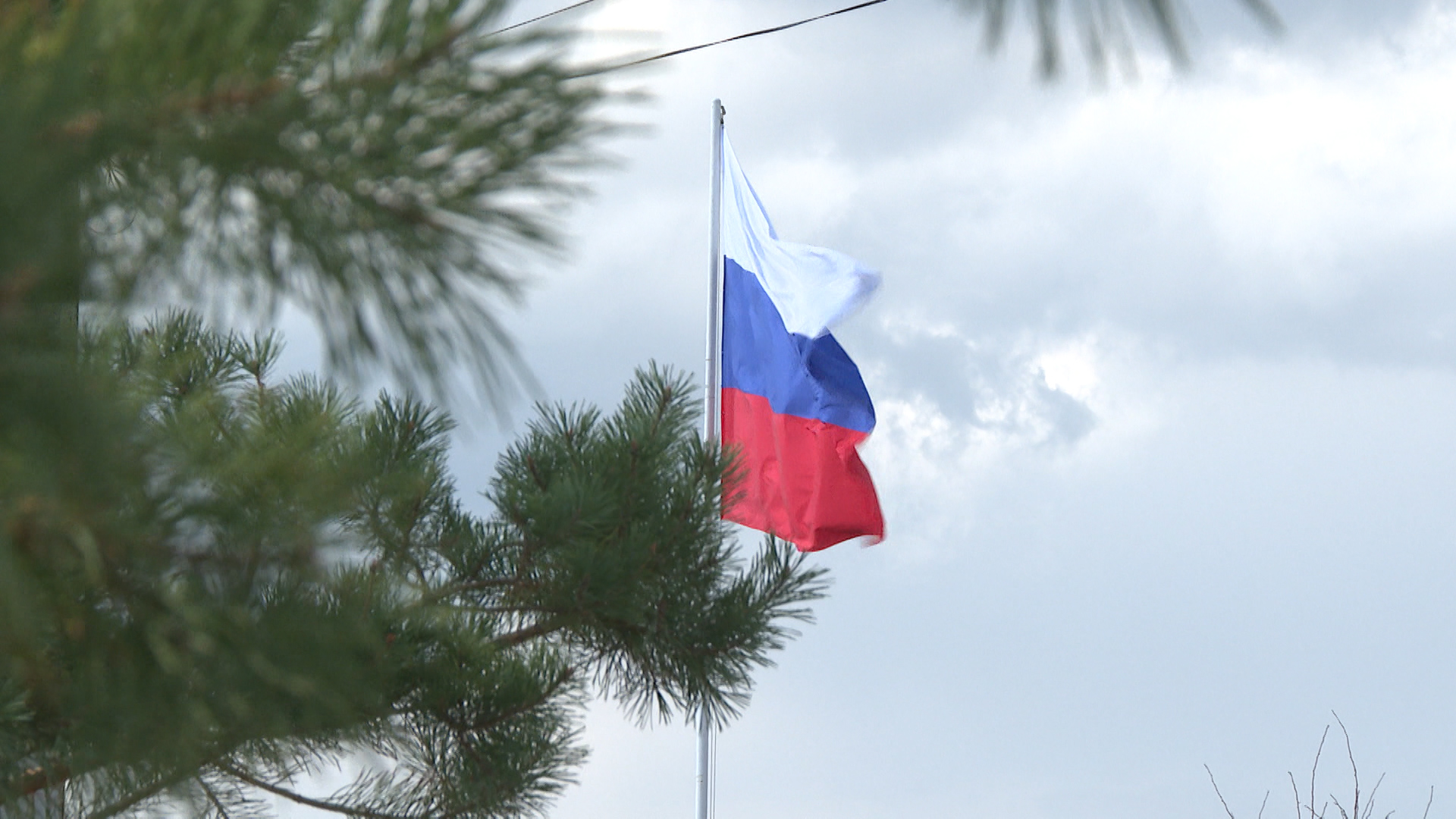 Жители Волгоградской области со всей страной отмечают День России
