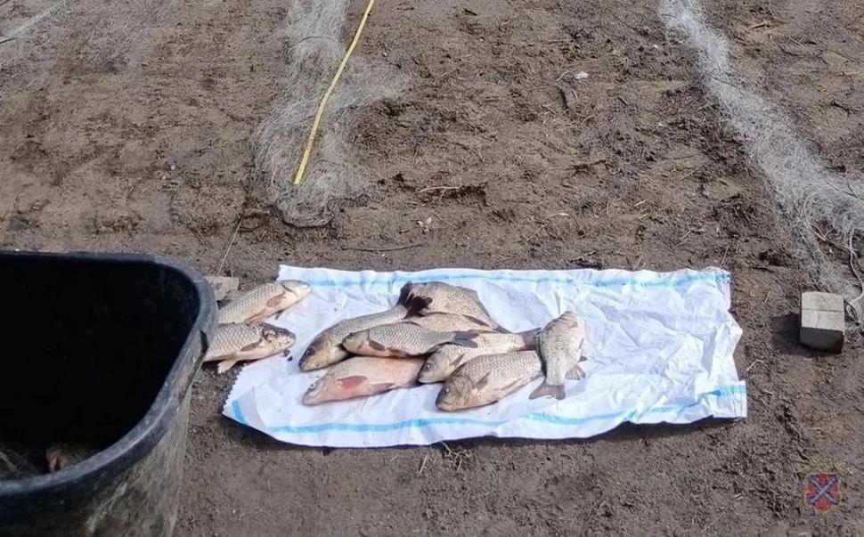 Троих браконьеров задержали в Волгоградской области