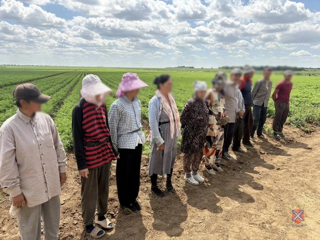 23 мигранта-нелегала задержали в Волгоградской области за два дня