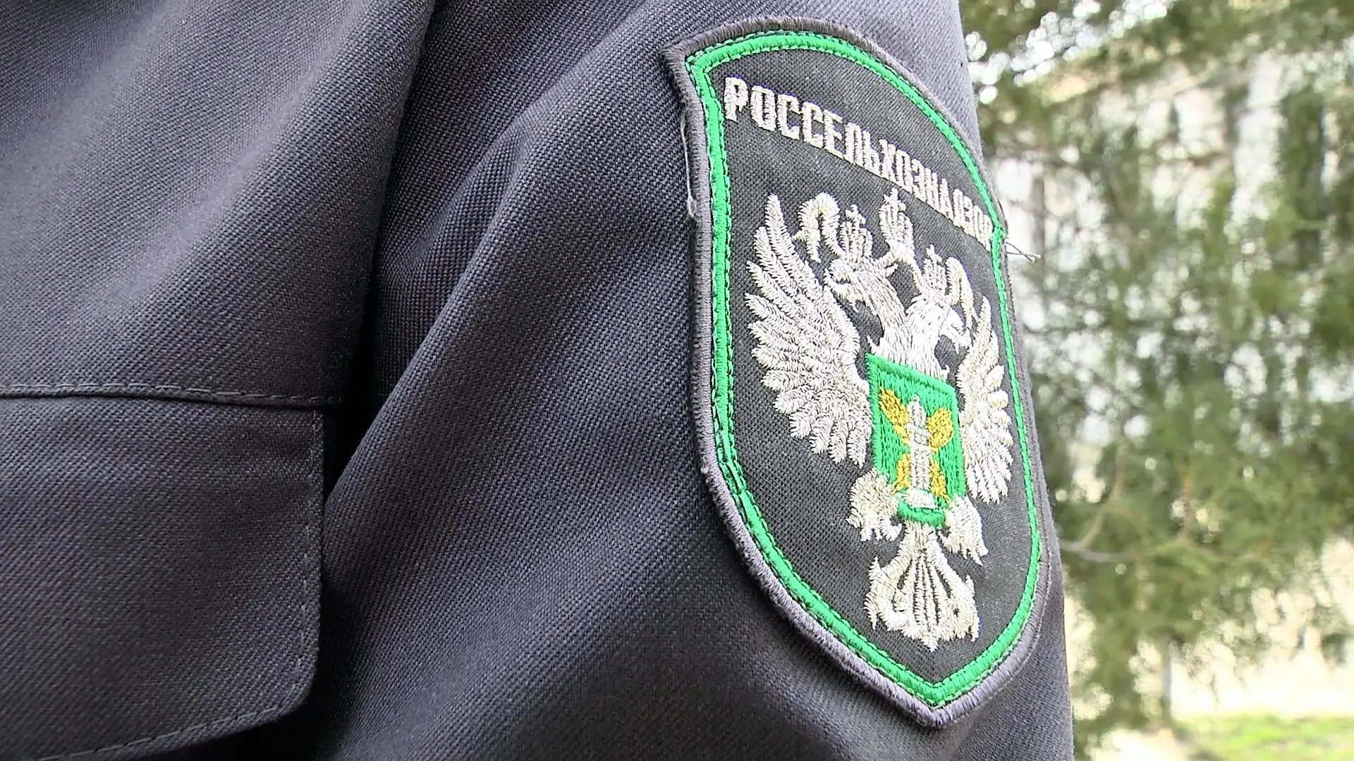 В Волгоградской области суд обязал собственника ликвидировать крупную свалку