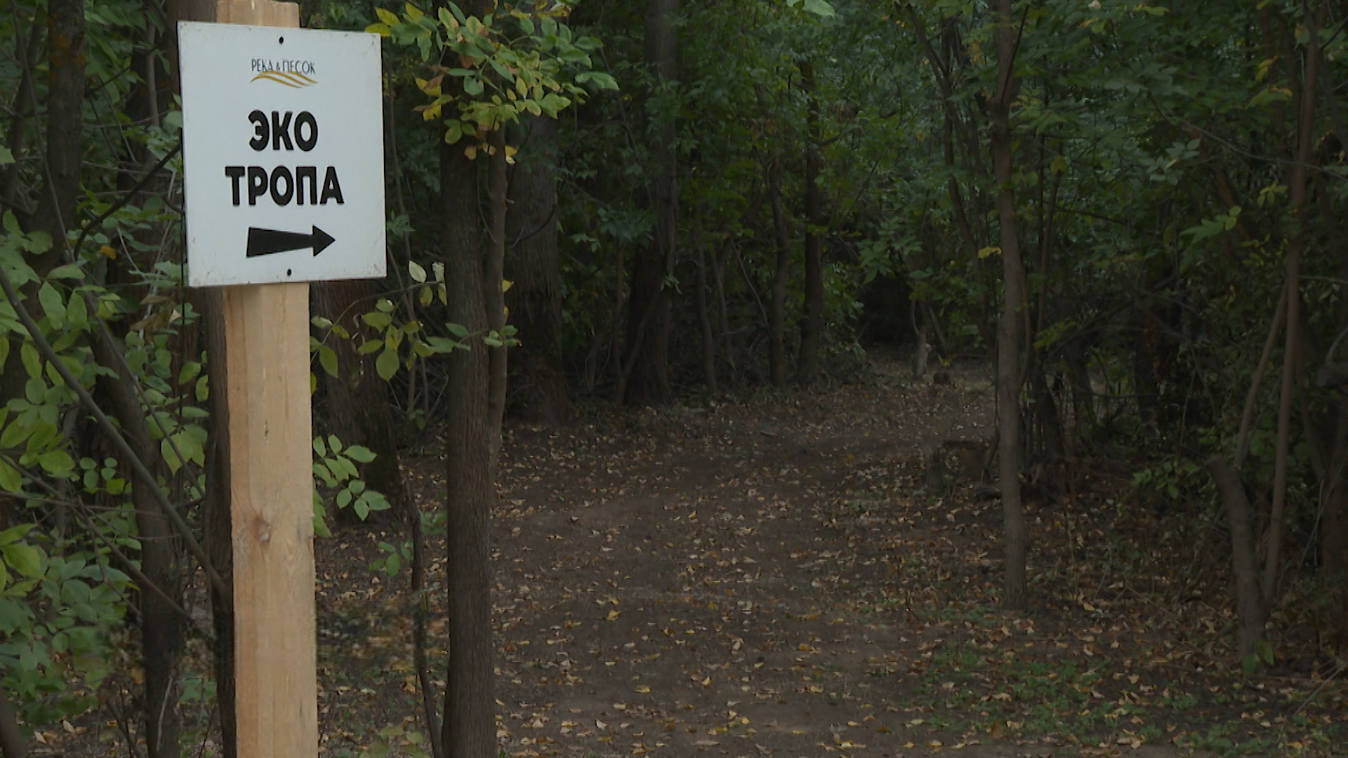 Программу оздоровления разработали для старшего поколения на территории отдыха под Волгоградом