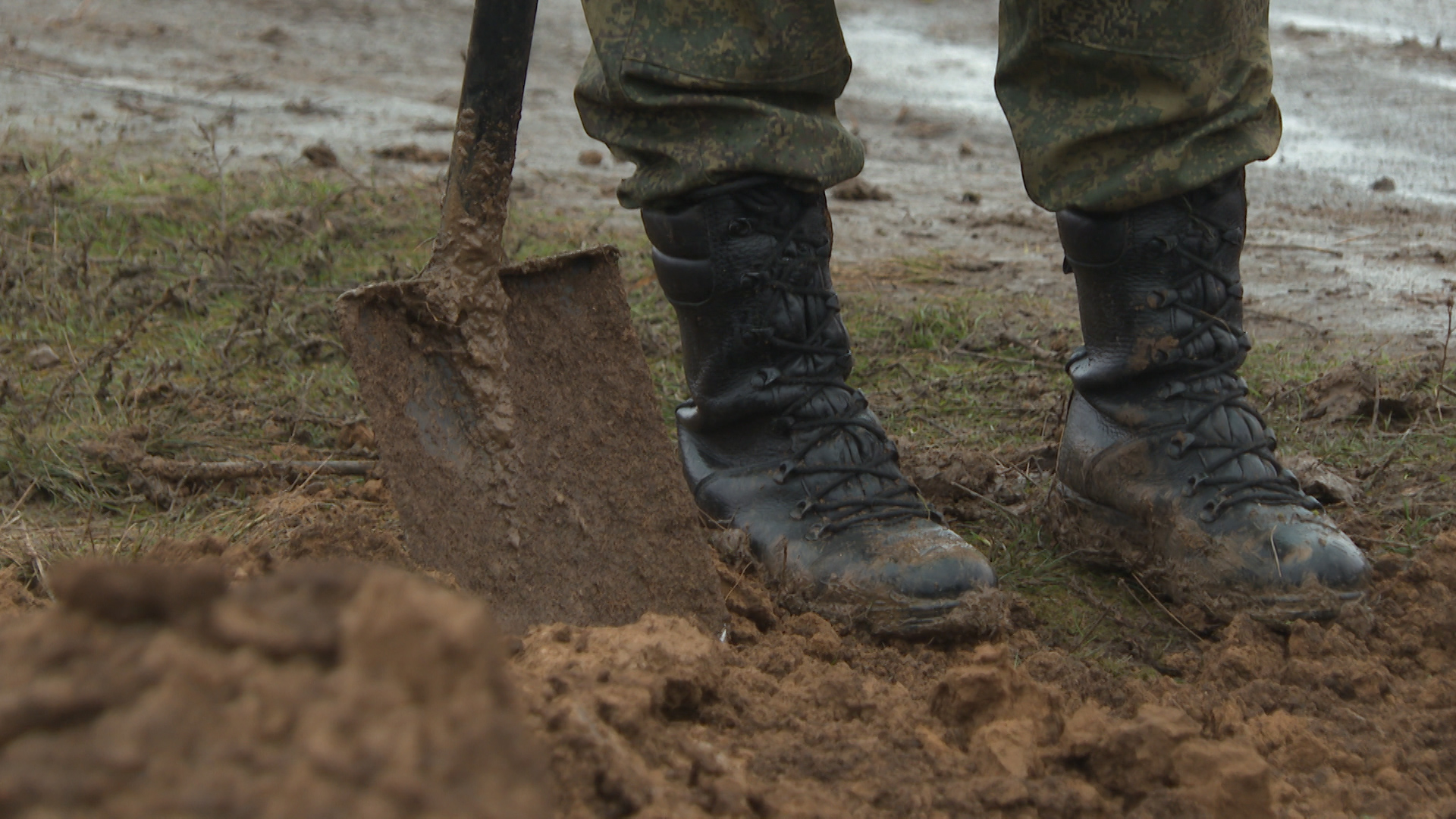 Останки 204 человек нашли в ходе «Вахты Памяти» в Волгоградской области