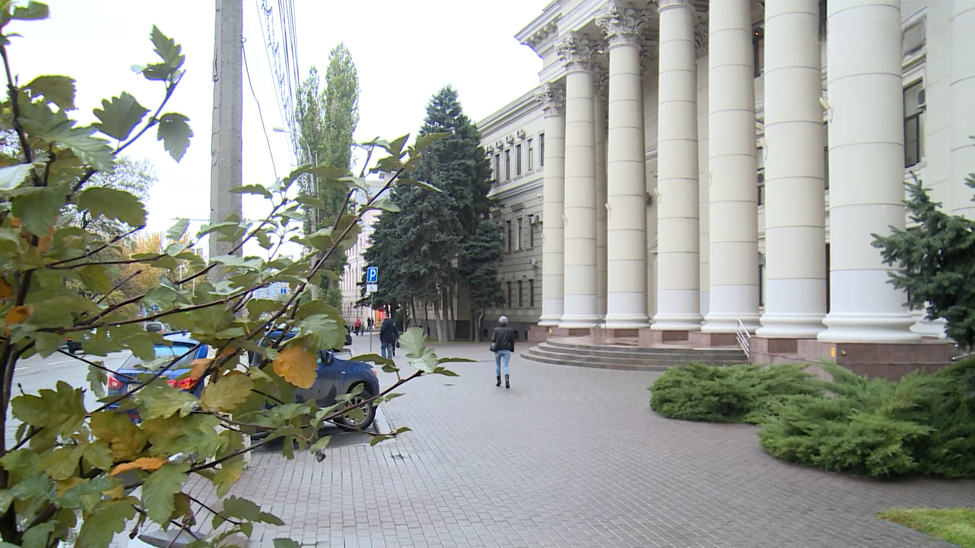 Волгоградский губернатор поздравил ректора ВГСПУ и всех педагогов с Днем учителя