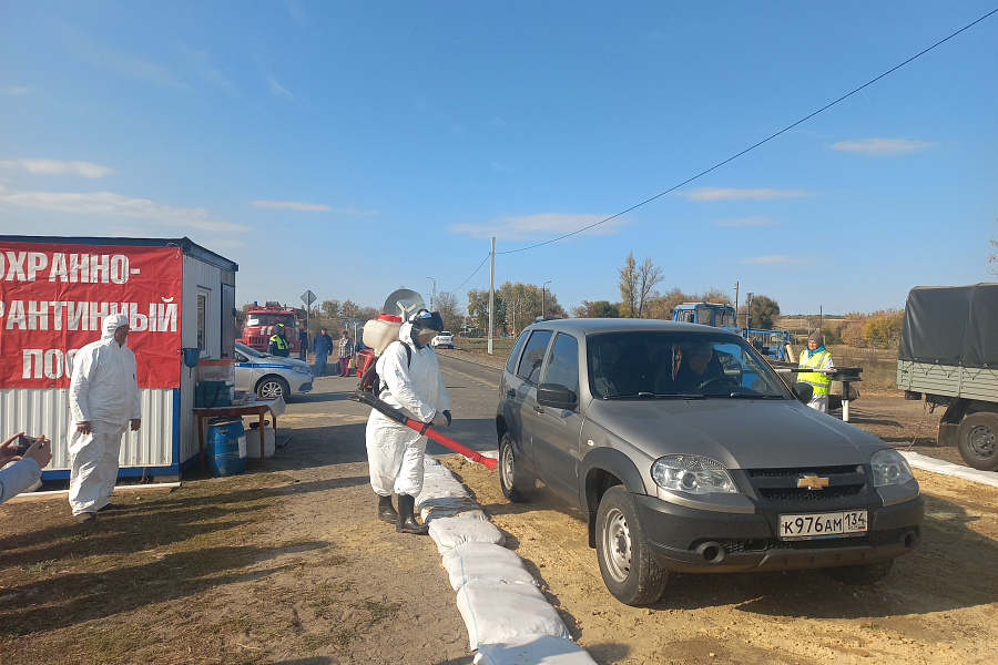 Учения по ликвидации очага сибирской язвы провели в Волгоградской области