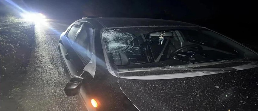Автомобилистка насмерть сбила пешехода в Волгоградской области