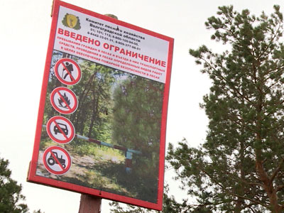 Лесничества Волгоградской области подвели итоги пожароопасного сезона