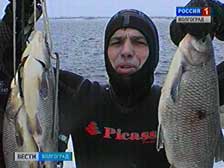 Любительская рыбалка останется бесплатной