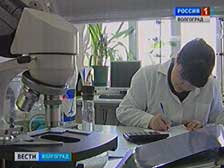 Волгоградские ученые наращивают кормовую базу региона
