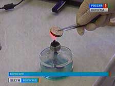 Волжские ученые нашли бытовое применение камышу
