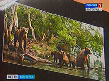 В Волгограде открылась выставка фотографий дикой природы