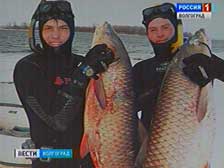 Среди волгоградцев растет число любителей подводной охоты