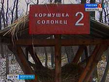 В Волгоградской области организована подкормка диких животных