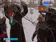 Волгоградцы поддержали пернатых