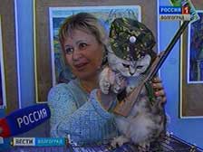 Волгоградские кошки нарядились в костюмы героев «Незнайки»