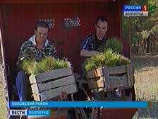 В волгоградских лесничествах начались противопожарные мероприятия