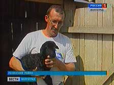 Семейный подряд фермеров Чаплиевых